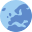 Europe & United States